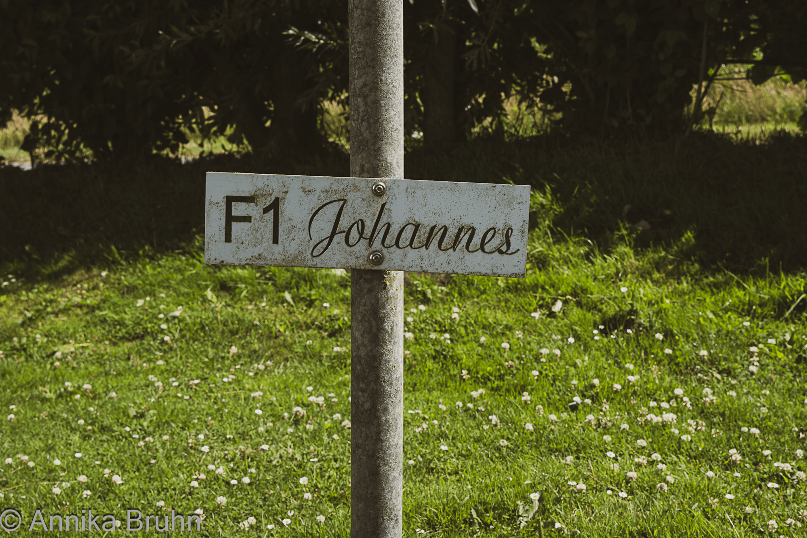 Stellplatz F1 -Johannes